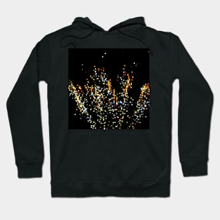 Firework No.71 Hoodie